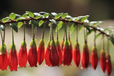 肇庆德庆7私人快速借钱网，轻松解决资金难题