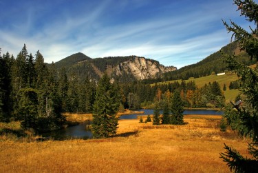 肇庆德庆7民间私贷攻略：揭秘低成本借贷的秘密