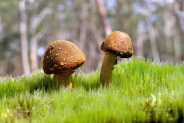 肇庆德庆7私人老板放款：轻松融资的秘密通道